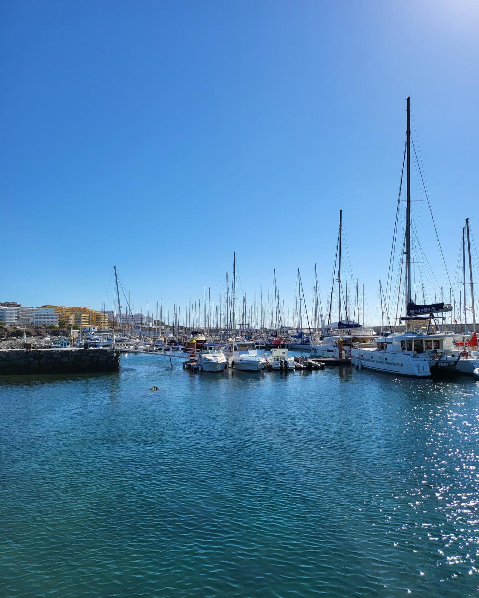 Lovely Apartment Top Views, Heated Pool, Great Location San Miguel de Abona Exteriör bild