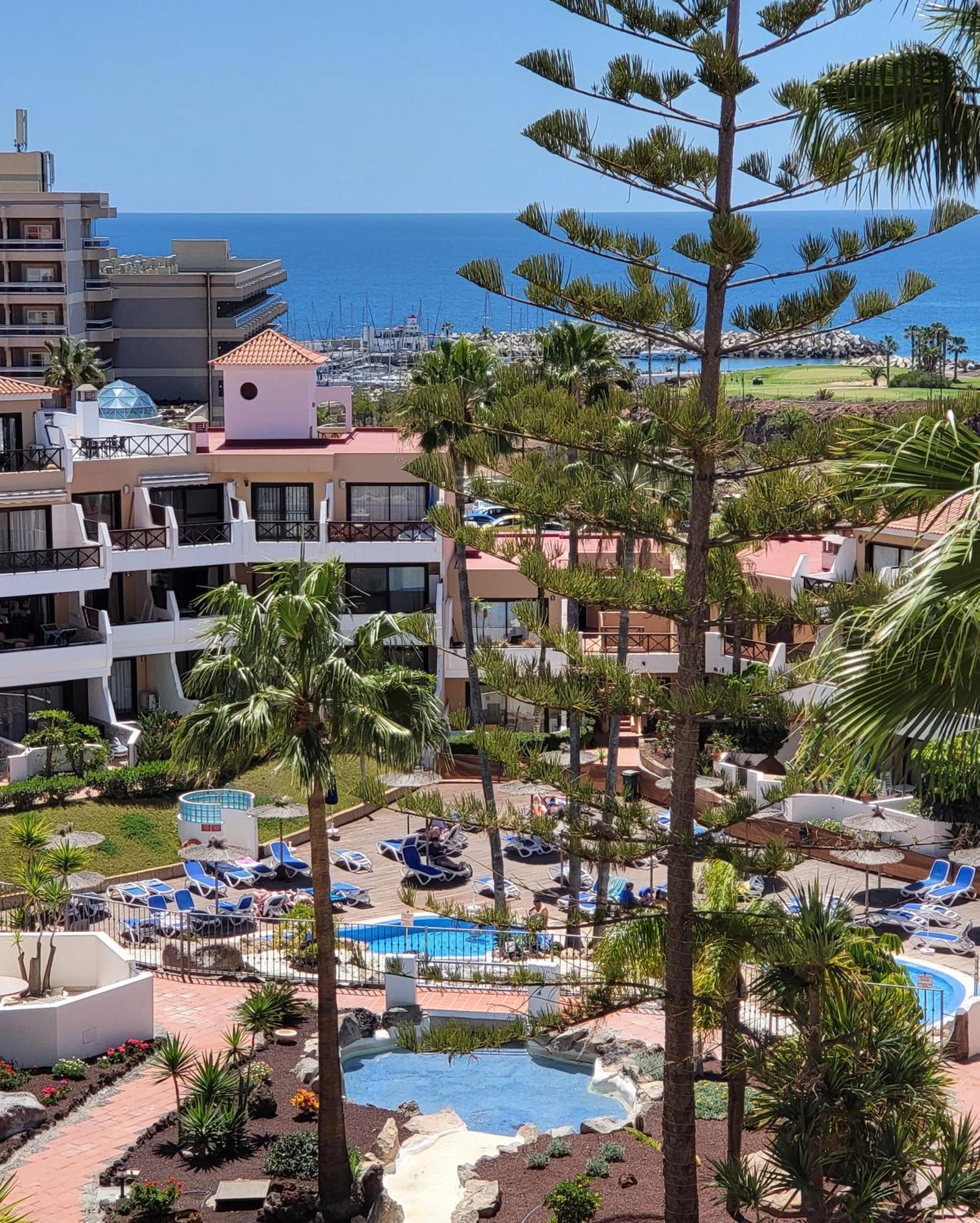 Lovely Apartment Top Views, Heated Pool, Great Location San Miguel de Abona Exteriör bild
