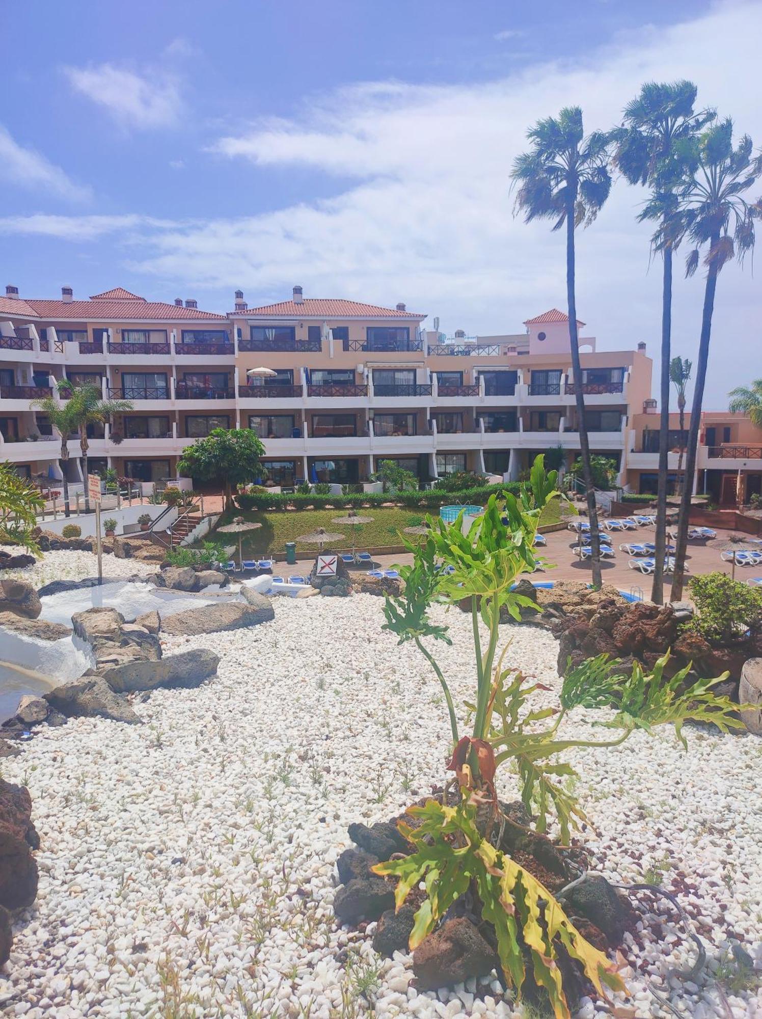 Lovely Apartment Top Views, Heated Pool, Great Location San Miguel de Abona Exteriör bild