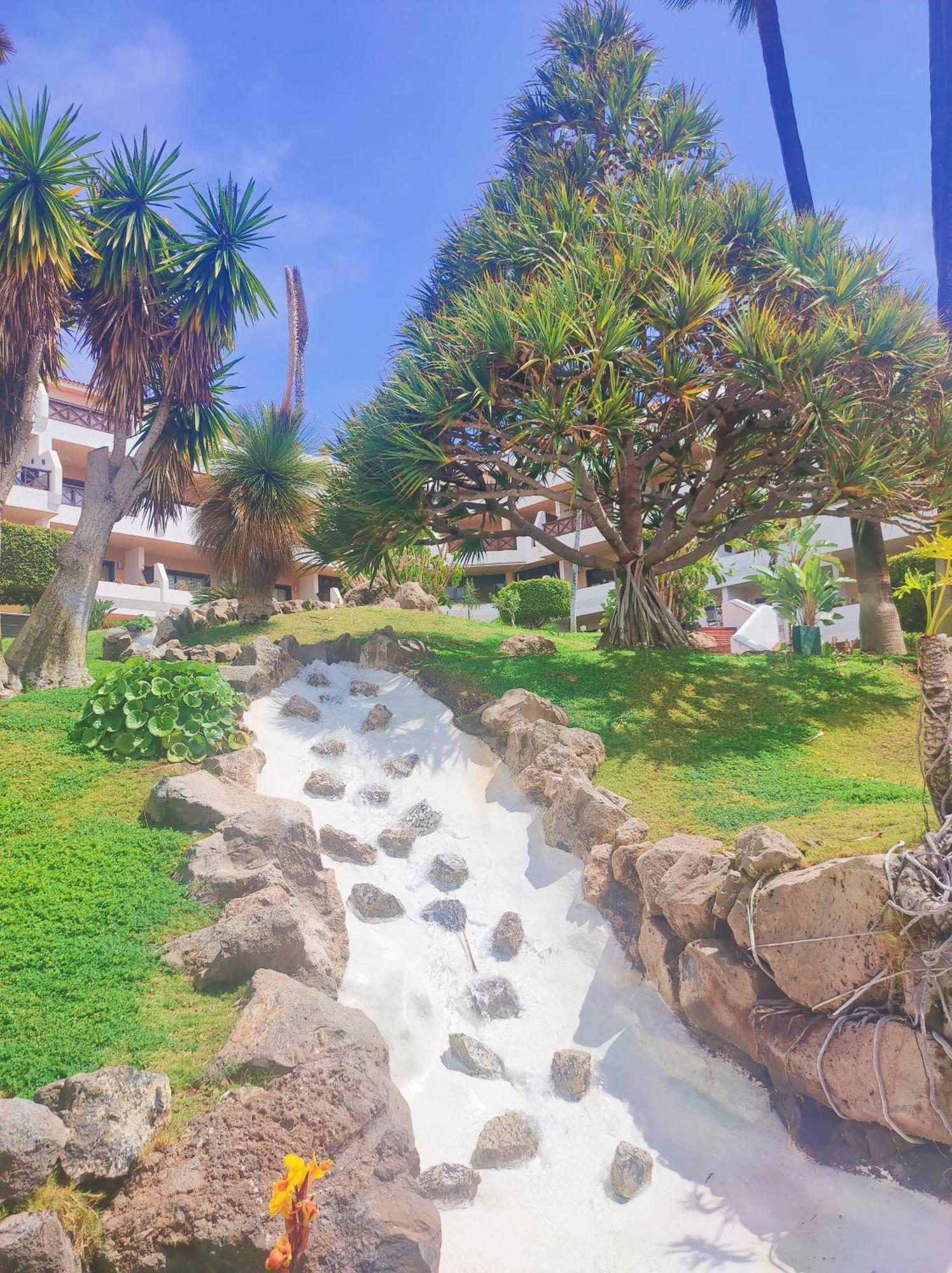 Lovely Apartment Top Views, Heated Pool, Great Location San Miguel de Abona Exteriör bild